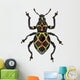 Exotic Weevil Pachyrhynchus Reticulatus 