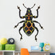 Exotic Weevil Pachyrhynchus Reticulatus 