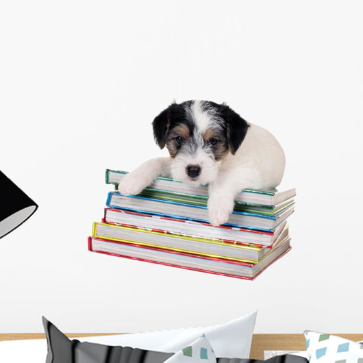 Parson Russell Terrier Puppy Lying on Books Wall Decal