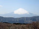 Mount Fuji Wall Decal