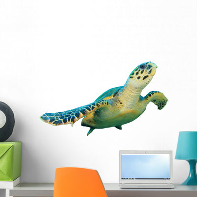 Hawksbill Sea Turtle White shown on a wall