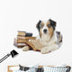 Australian Shepherd and Books Wall Decal
