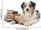 Australian Shepherd and Books Wall Decal