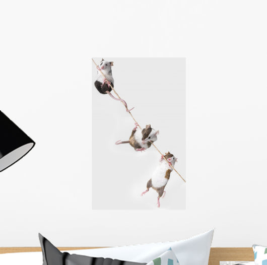 mice Wall Decal