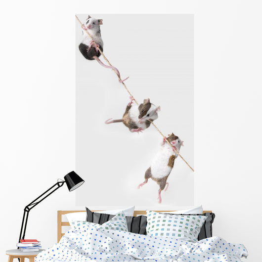 mice Wall Decal