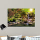beautiful waterfall comes out of a huge rock in the forest Wall Mural