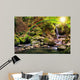 beautiful waterfall comes out of a huge rock in the forest Wall Mural