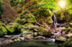 beautiful waterfall comes out of a huge rock in the forest Wall Mural