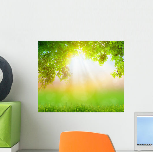 Fresh spring green grass with green leaf , Summer time 