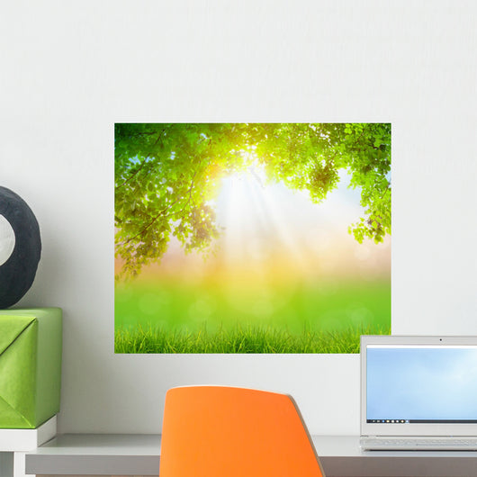 Fresh spring green grass with green leaf , Summer time 