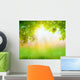 Fresh spring green grass with green leaf , Summer time 