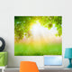 Fresh spring green grass with green leaf , Summer time 