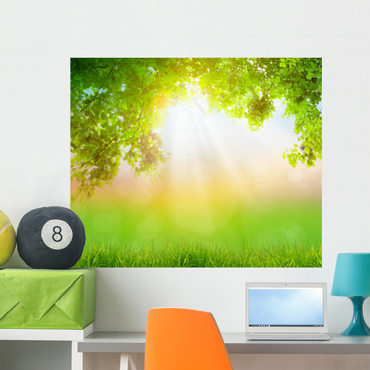 Fresh spring green grass with green leaf , Summer time 