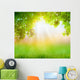 Fresh spring green grass with green leaf , Summer time 