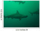 Hammerheads Wall Mural
