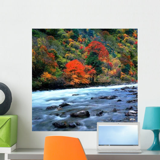 Cascade China Wall Decal