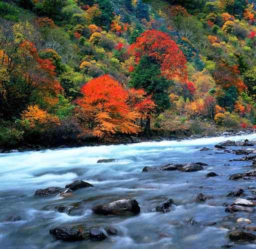 Cascade China Wall Decal