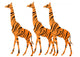 Tiger Striped Giraffes Wall Decal