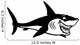 Cartoon Shark Black White 