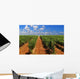 Green Rows Vineyard Spain Wall Decal