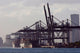 ships in a port Wall Mural