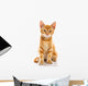 Red Little Cat 