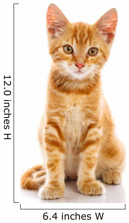 Red Little Cat 