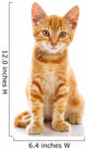 Red Little Cat 