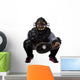 Catcher Baseball Player Wall Decal
