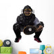 Catcher Baseball Player Wall Decal