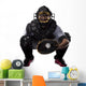 Catcher Baseball Player Wall Decal