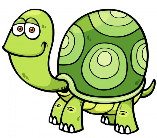 Vector illustration of Cartoon turtle Wall Decal