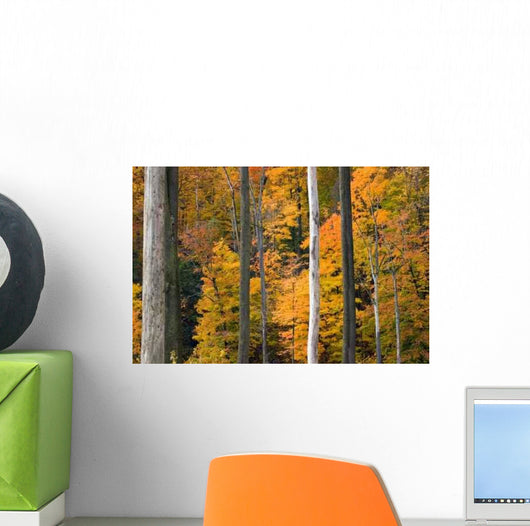 Golden Foliage Wall Decal