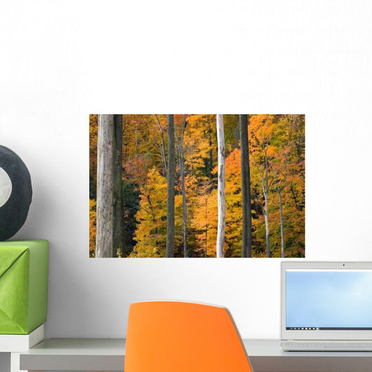 Golden Foliage Wall Decal