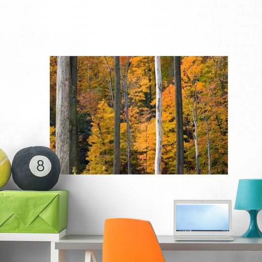 Golden Foliage Wall Decal