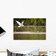 Gull in Flight Wall Mural