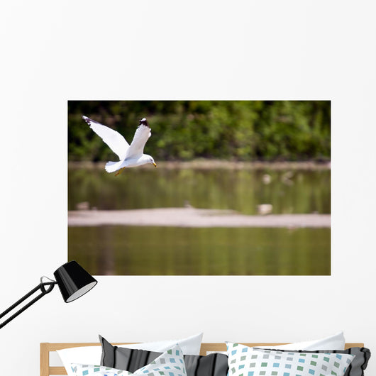 Gull in Flight Wall Mural