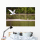 Gull in Flight Wall Mural