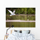 Gull in Flight Wall Mural