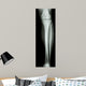 Film X-Ray Normal Humans Leg 