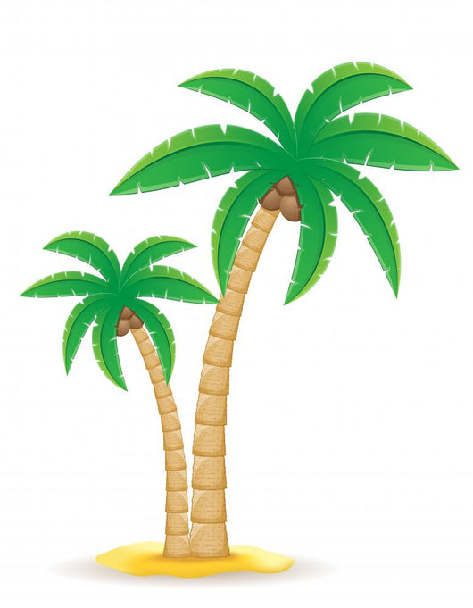 Palm Tropical Tree Vector Illustration 