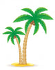 Palm Tropical Tree Vector Illustration 