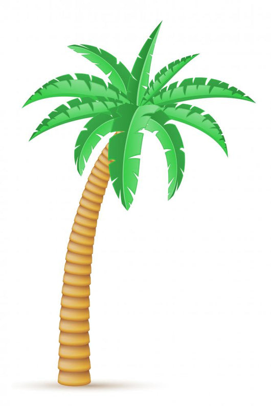 palm tropical tree vector illustration Wall Mural