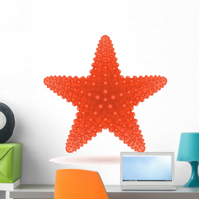 Starfish Vector Illustration Wall Mural shown on a wall