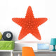 starfish vector illustration Wall Mural