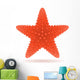 starfish vector illustration Wall Mural