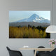 Mt Hood Wall Decal