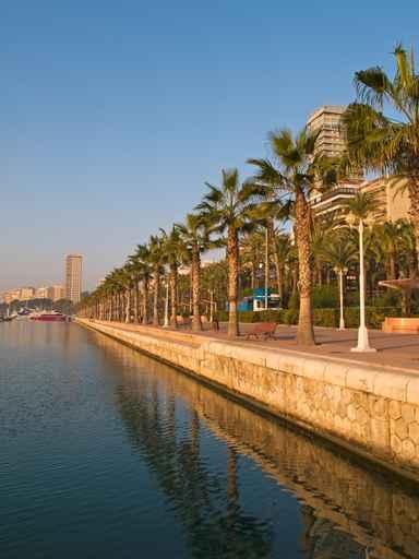 Beautiful Seafront with Palm Wall Decal