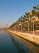 Beautiful Seafront with Palm Wall Decal