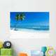 Tropical Sea 